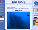 Big Blue